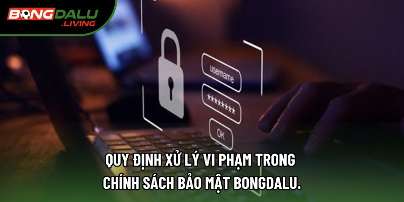 Quy định xử lý vi phạm trong chính sách bảo mật Bongdalu. Quy định xử lý vi phạm trong chính sách bảo mật Bongdalu.